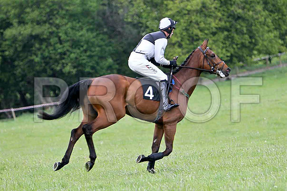 Ballymoat , 2nd, Jockey - Derek O'Oonnor - FT8E2267-e