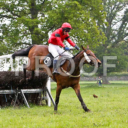 Banaway, 4th, Jockey N McParlan - FT8E2601-e