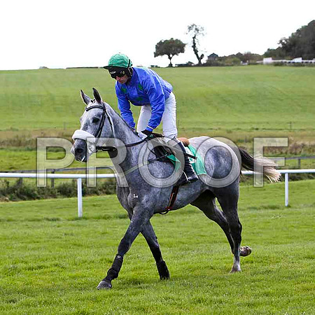 Just LIke Freddie , Jockey T P Treacy - PU - CU2D9198-e