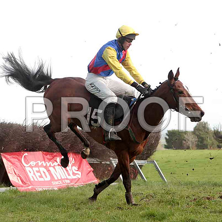 Sentry Girl , 11th, Jockey - Derek O'Connor - CU2D4670-e