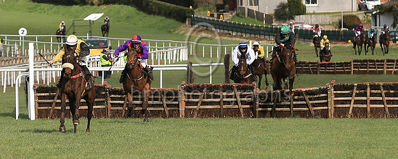 01st Ballymadun and P J O'Hanlon 2 ( 3 , black and yellow hlvd ) Trainer - D A McLoughlin , Owner - R J Sutton