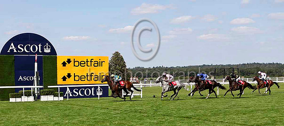 R2 - Fattsota & M Demuro - Winner - IMG_9902-e