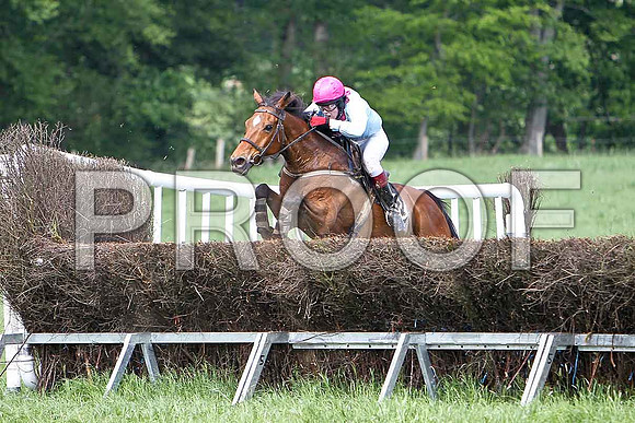 Fourth Race - Fourth Race - Sartorious (13) 5th, Rider Ms H Kiernan - CU2D9633-e