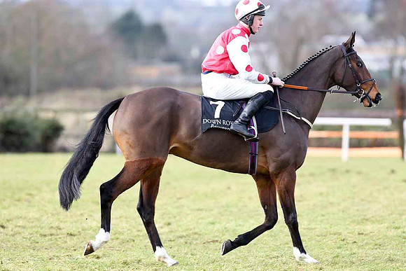 Drumbledore 8th - Jockey Mr G B Watters - CU2D3144-e