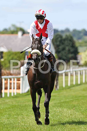 Ferocious Fran , Jockey C D Hayes , 3rd - FT8E1226-e