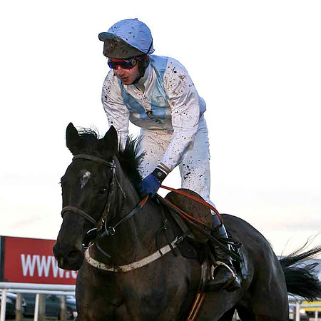 Ryans Princess 12th , Jockey Mr N McParlan  - FT8E0035-e