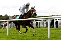 Casadie 5th, Jockey Andrew J McNamara in the lead - FT8E3041-e