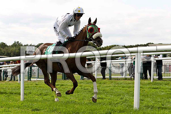 Casadie 5th, Jockey Andrew J McNamara in the lead  - FT8E3041-e