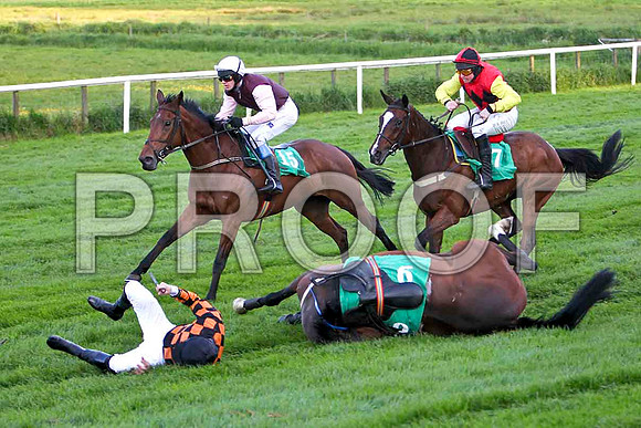 Mister Philson , Fell, Jockey Derek O'Connor - FT8E3214-e2