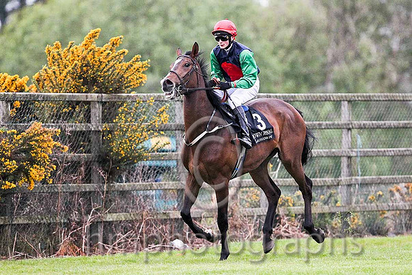 R7 -  - Joker Jack 132th, Jockey D E Mullins - FT8E0619-e