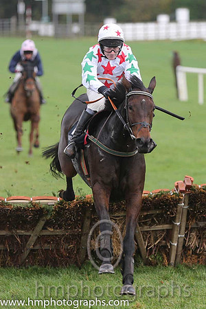 02 Carrigmoorna Rock and DJ Casey - - 02nd (2 ,white, red stars ) Trainer - R Tyner