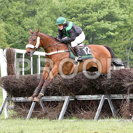 St Matthew, Unplaced, Jockey Ms C A Sloan - FT8E2551-e