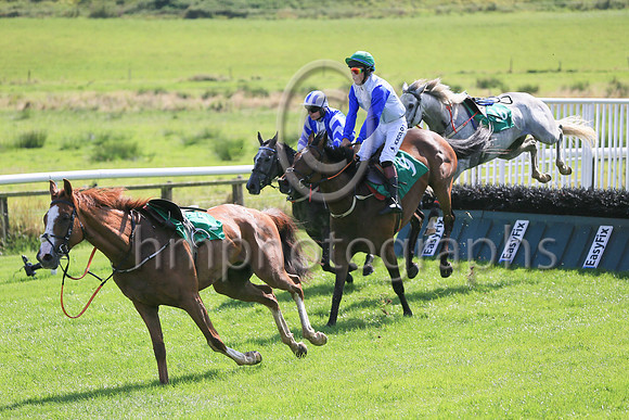 Riderless horses in race 1
