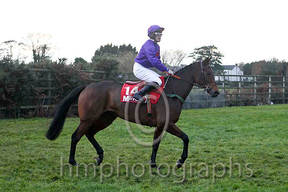 Mollyash , Jockey Mr S Crawford - 12th  - FT8E4912-e