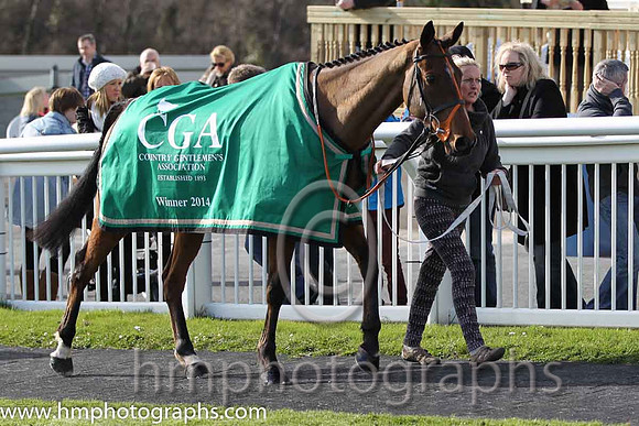 Tammys Hill - winner of the CGA Foxhunter Chase at Cheltenham - FT8E4336-11