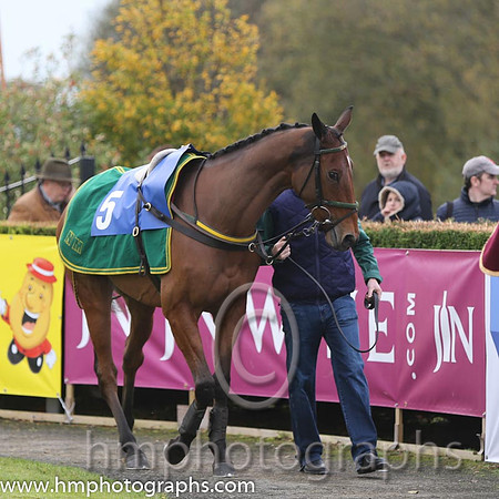01 Road To Riches and P Carberry - - 01st (5 ,maroon, white star, white cap ) Trainer - N Meade