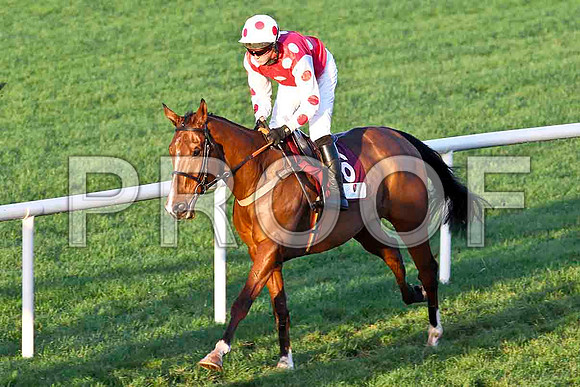 Drum Bustible - 3rd - Jockey Mr G S Watters - FT8E4641-e