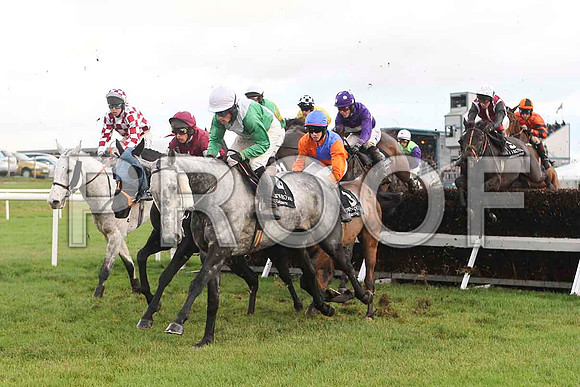 Archies Lad , Jockey A E Lynch - 9th , Guts for Garters , Jockey A P Heskin - Fell &  Havagoodsip , Jockey P W Flood - 4th - FT8E4887-e