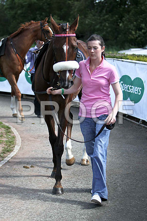 Spring Hawk winner, Jockey B A Curtis - CU2D0281-e