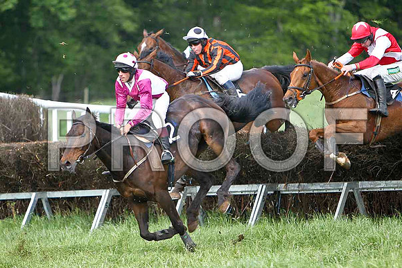 Fourth Race - Lusatine (12) Winner, Rider T D Geoghegan, The Snuffler (15) 2nd, Rider B F Brabezon & Uasaka (2) 7th, Rider Derek O'Connor- CU2D9611-e