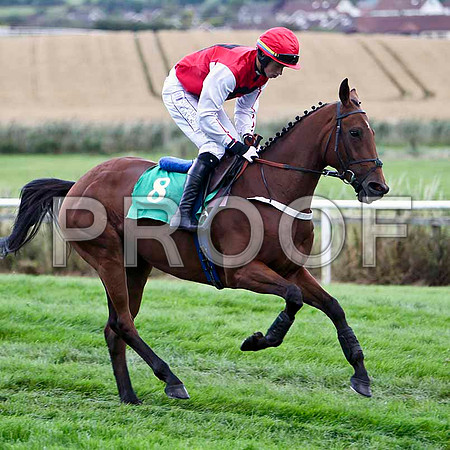 Baby's Hot - 2nd , Jockey B J Cooper - FT8E3918-e