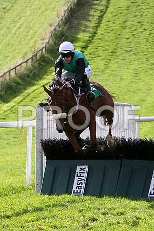 Waterloolane , Jockey I J McCarthy - 6th - CU2D9222-e