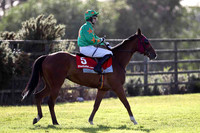 Baily Bridge 8th, Jockey M J Ferris - FT8E0978-e