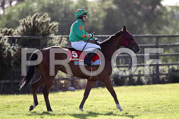 Baily Bridge 8th, Jockey M J Ferris - FT8E0978-e