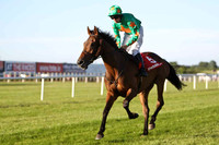 2010/06/18th Down Royal Race 5 - The www.thetote.com Galway Plate Trial Handicap Steeplechase