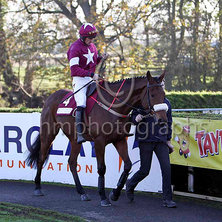 Quito De La Roque , Winner Jockey D N Russell - FT8E6981-e