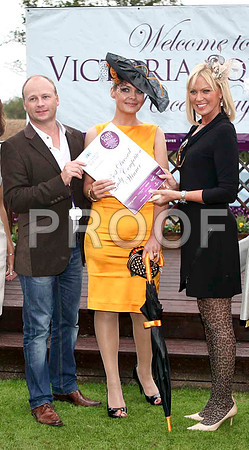 Victoria Square Best Dressed Lady winner Lorraine Hollaway-McCarney at Down Royal - IMG_9577-e2IMG_9577-e3