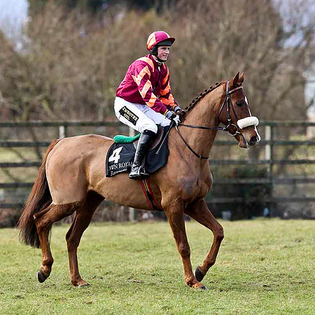 Blue Vic - 17th - Jockey K H CLarke - CU2D3152-e