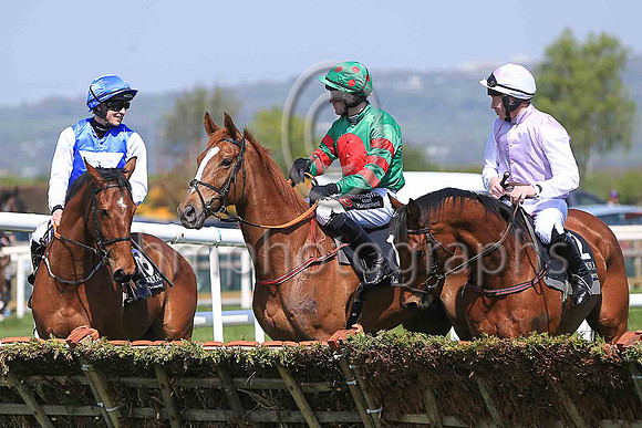 01st Ornua and B T O'Connell ( 13 , green, red disc ) Trainer - H de Bromhead , Owner - John J Phelan , Syed Momin