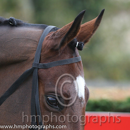 07 Tiger Roll and B J Cooper - PU - 07th (2 ,maroon white star ) Trainer - G Elliott