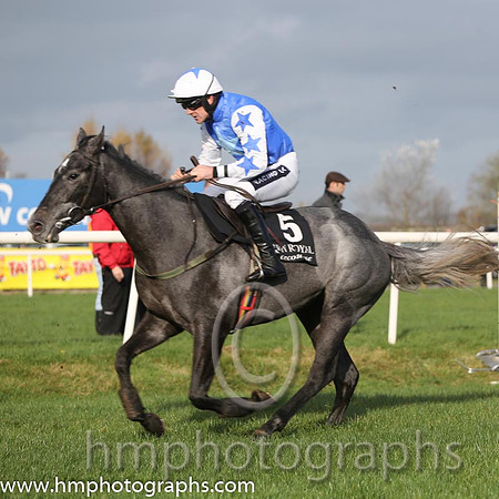 05 Tarabiyn and R Walsh - - 05th (5 ,royal blue, light blue star, white cap royal blue star ) Trainer - W P Mullins