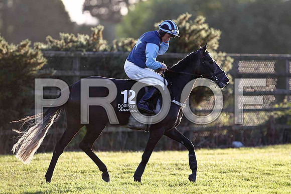 Moon Cove 11th, Jockey M W Bowes - FT8E1172-e