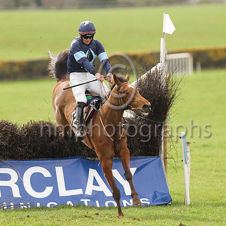 01st SHECOULDBEANYTHING and D G Lavery ( 12 , NAVY,light blue star; navy sleeves,light blue armlet; navy cap,light blue star ) Trainer: Patrick Eugene Turley,, Owner : Declan Lavery