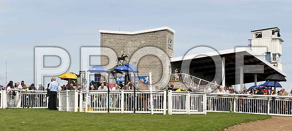 The parade ring - FT8E2942-e