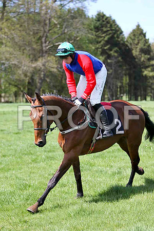 Glenariffe - 2nd, Jockey J J Codd - FT8E1984-e