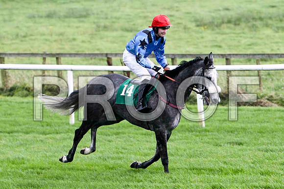 Special Raffle , 7th - Jockey S G McDermott - FT8E5179-e