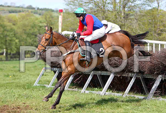 Glenariffe  - 2nd, Jockey J J Codd - FT8E2001-e