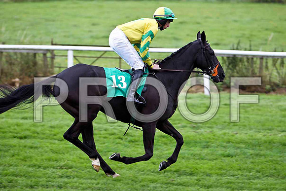 Hidden Profit - 10th , Jockey C D Maxwell - FT8E3923-e