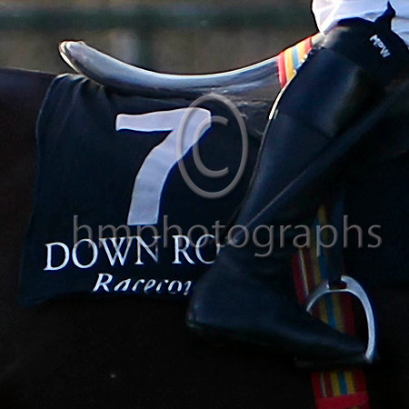 Number 7 Down Royal Racecourse - FT8E6667-e2