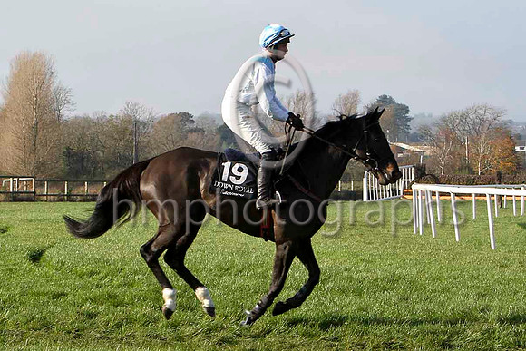 Ryans Princess 18th , Jockey - N P Madden - FT8E6853-e