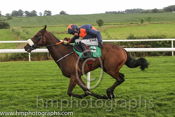 01 Tom's Article & Ms N Carberry - winners (3, orange and blue qtrd) - FT8E0009