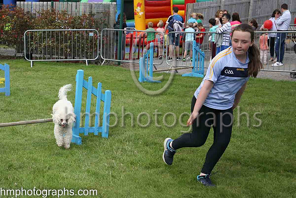 Performing dog at The Family Fun Raceday at Downpatrick Race Course on Wednesday 13th July 2022.