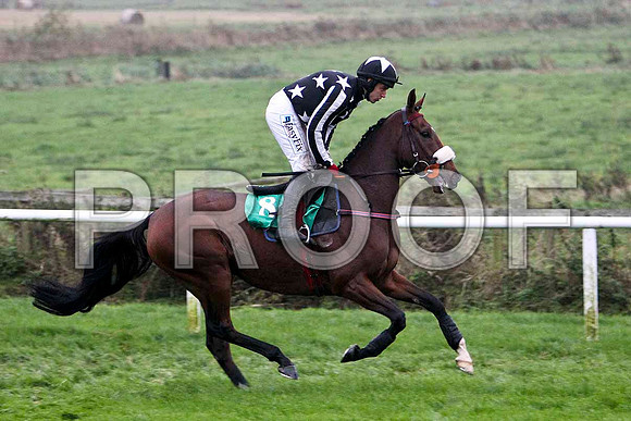 Oscar's Ballad , Fell - Jockey D J Condon -FT8E5456-e