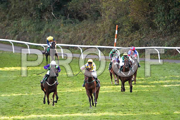 Lets Go Sunshine in the lead , Jockey J L Cullen - Winner - CU2D9449-e