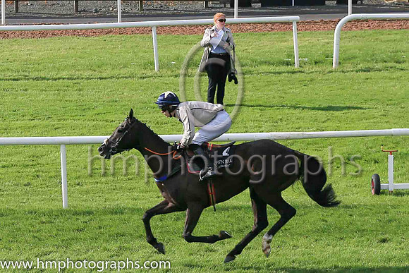 01st Dovlator and P.J. O'Hanlon(2) (4 ,beigr, blue seams ), Trainer:Dermot Anthony McLoughlin , Owner:Mrs Fidelma Toole