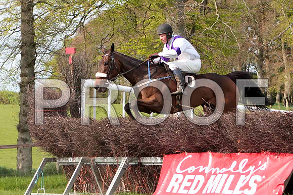 Clyde House , 8th, Jockey - P E Turley -  CU2D4689-e